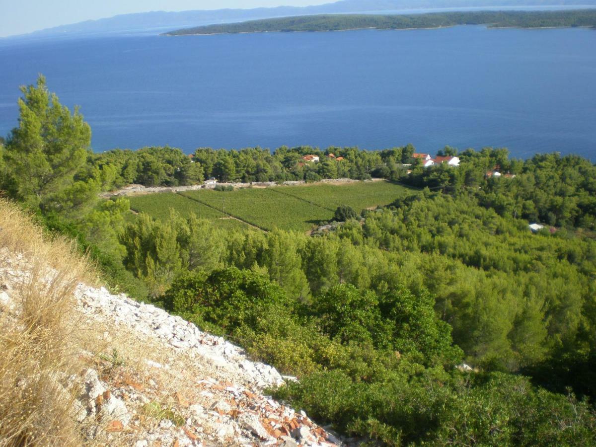 Hvar Melody, Island Hvar, Rosohotnica Bay Basina Luaran gambar