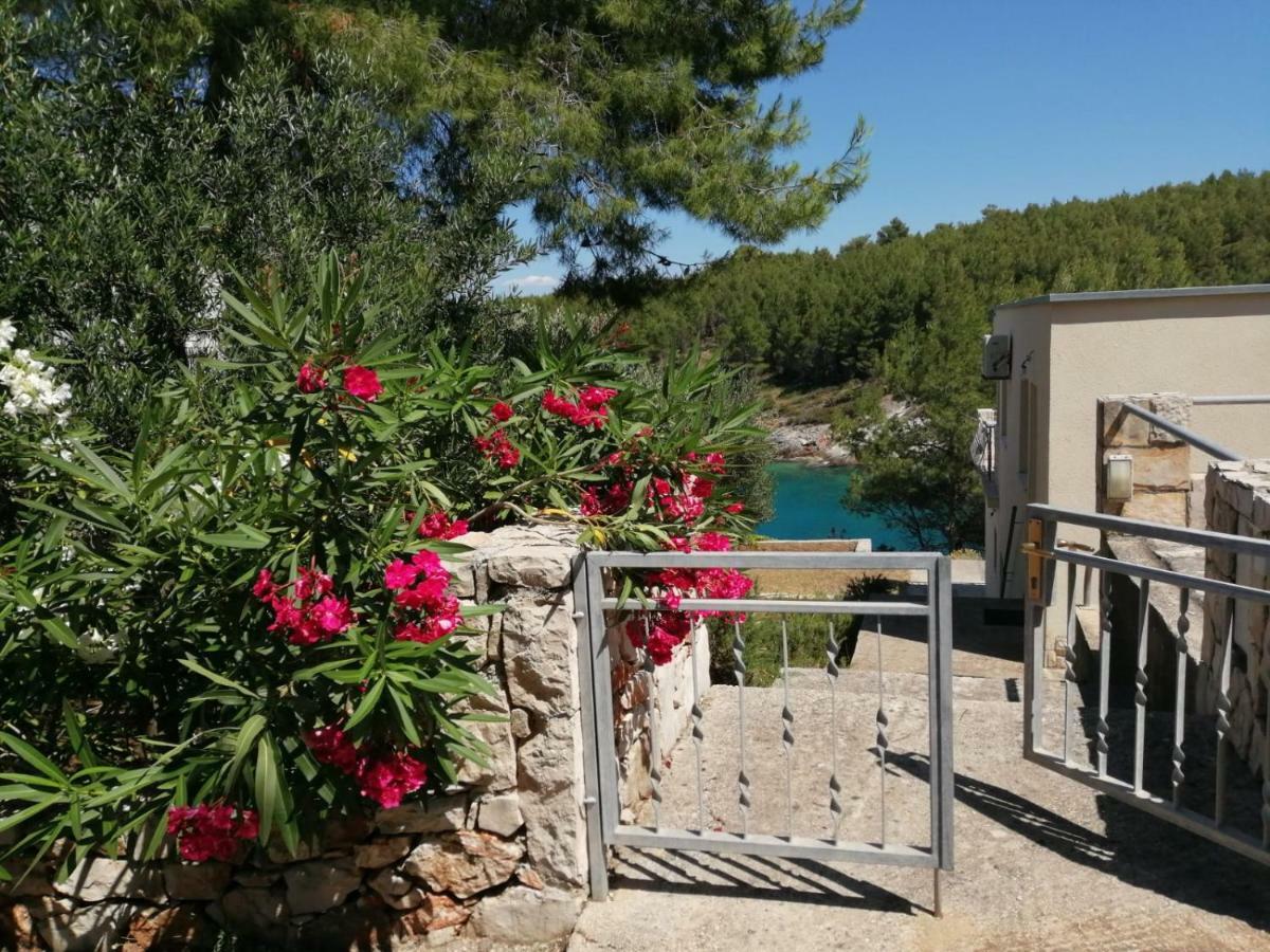 Hvar Melody, Island Hvar, Rosohotnica Bay Basina Luaran gambar